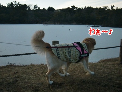 CIMG6601 (400x300)ー1