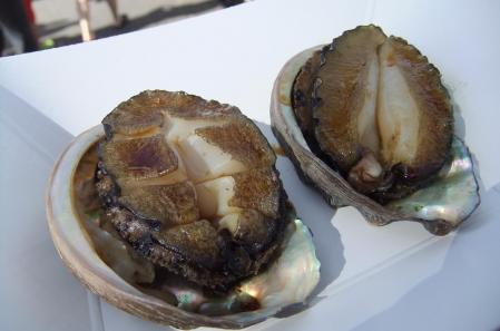 2012_02050794.jpg