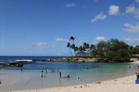 2012_02051259.jpg