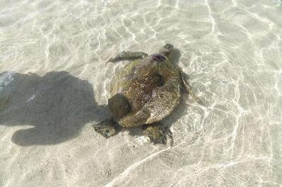 2012_02051263.jpg