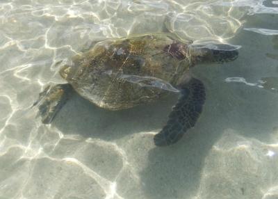 2012_02051264.jpg