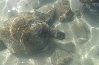 2012_02051265.jpg
