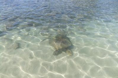2012_02051266.jpg