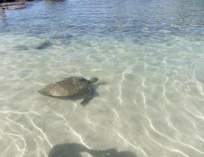 2012_02051267.jpg