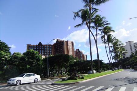 2012_02051274.jpg