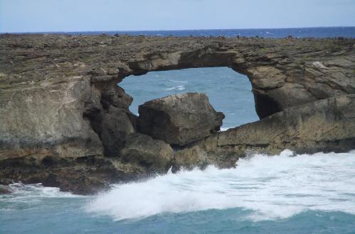2012_02051348.jpg