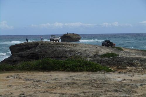 2012_02051366.jpg