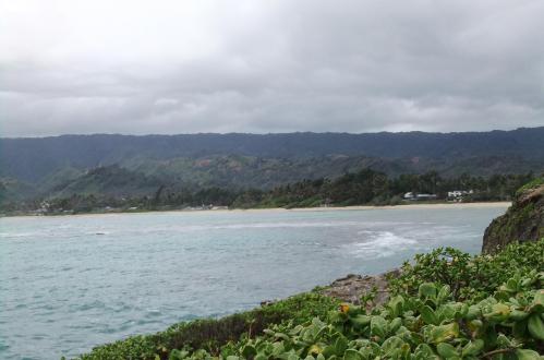 2012_02051368.jpg