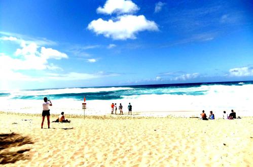 2012_02051430.jpg