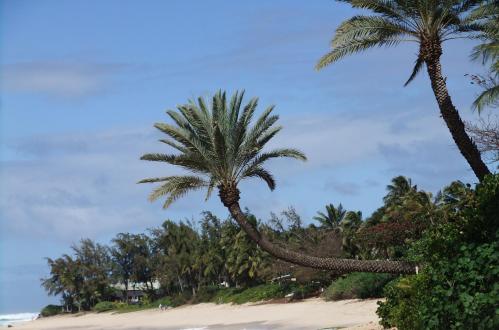 2012_02051437.jpg