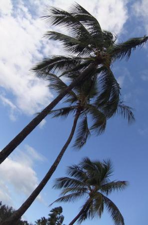 2012_02051483.jpg