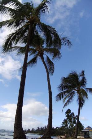 2012_02051486.jpg