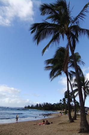 2012_02051494.jpg