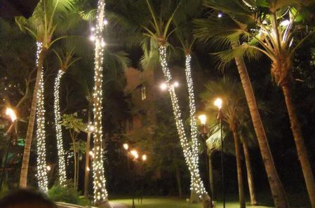 2012_02051542.jpg