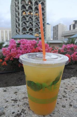 2012_02051758.jpg