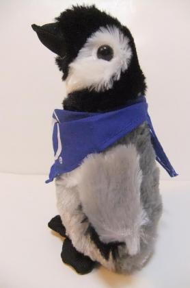 2012_02080285.jpg