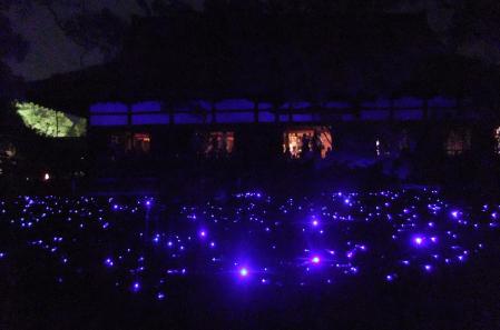 2012_05080354.jpg