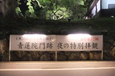 2012_05080358.jpg