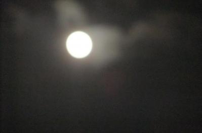 2012_05080365.jpg