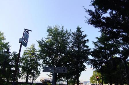 2012_07010040.jpg