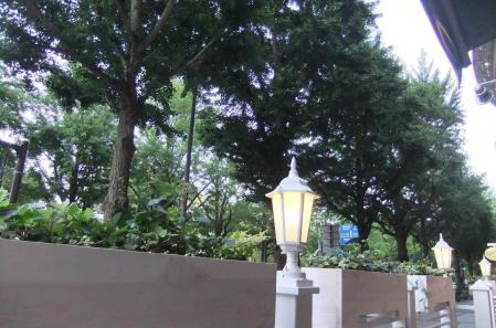 2012_07010049.jpg