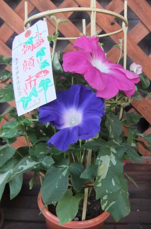 2012_07090004.jpg