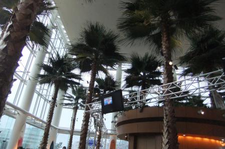 2012_07220125.jpg