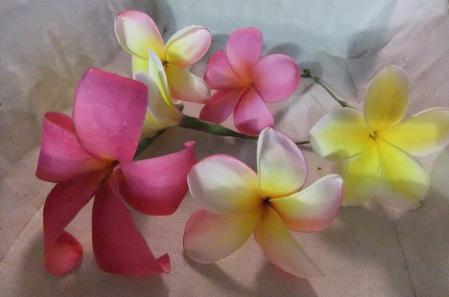 2012_07270059.jpg
