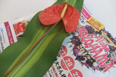 2012_07270093.jpg