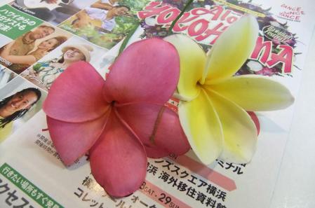 2012_07270104.jpg