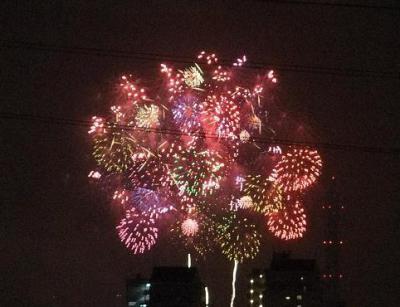 2012_08010018.jpg