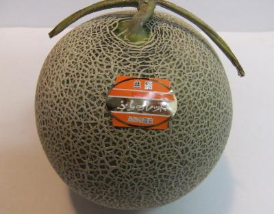 2012_08040026.jpg