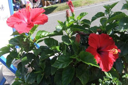 2012_08190029.jpg