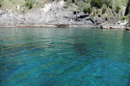 2012_08190076.jpg