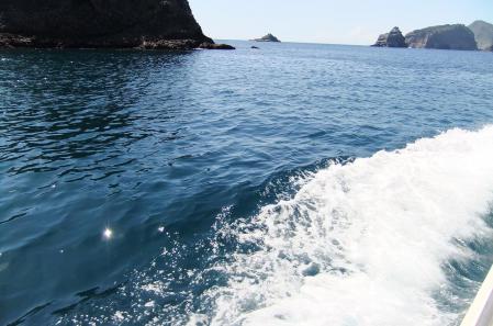 2012_08190082.jpg
