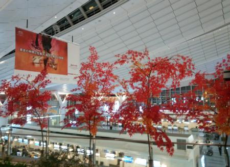 IMG_20121110_210126.jpg
