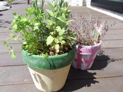 ハーブの寄せ植え講座