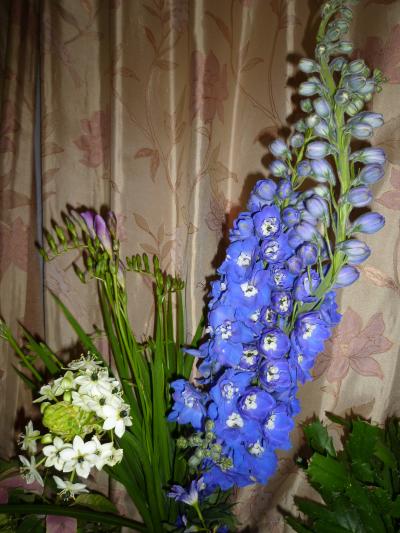 ブルーの花