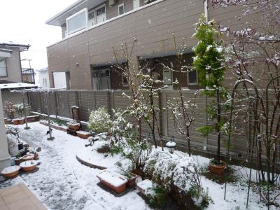4/21なごり雪