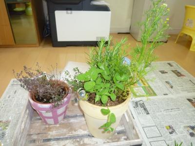 ハーブの寄せ植え講座