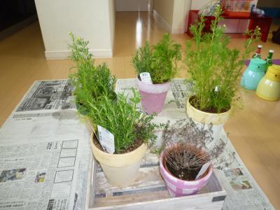 ハーブの寄せ植え講座