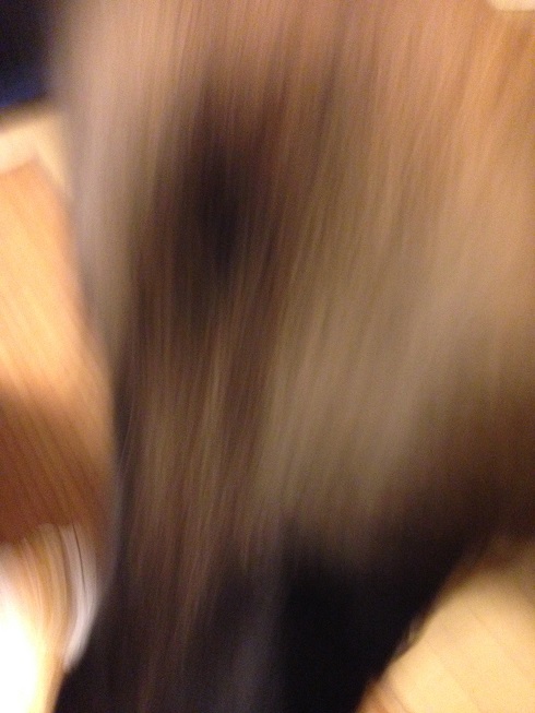 ぱくっ