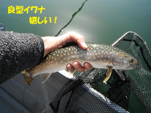 120428_PIC006.jpg