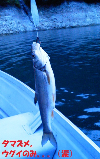 120801_PIC007.jpg