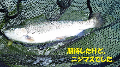 120801_PIC010.jpg