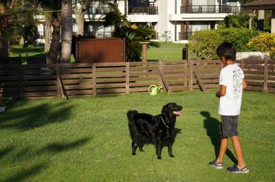 DSC00111_convert_20120905131058.jpg