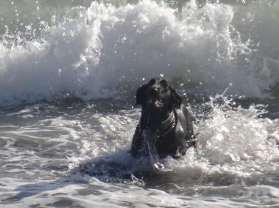 DSC00601_convert_20121015105401.jpg