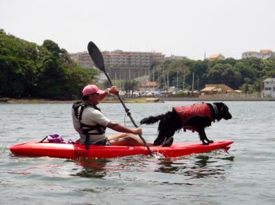 DSC05443_convert_20120730230608.jpg