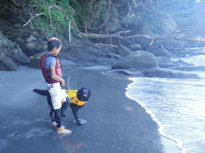 DSC05672_convert_20120828154347.jpg
