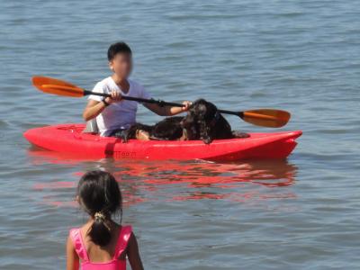 DSC05705_convert_20120829203603.jpg
